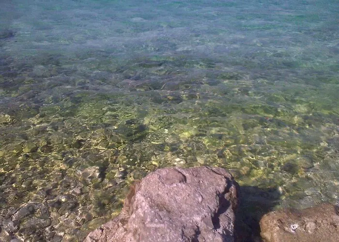 Zeljka